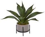 14" Agave Succulent, Decorative Planter
