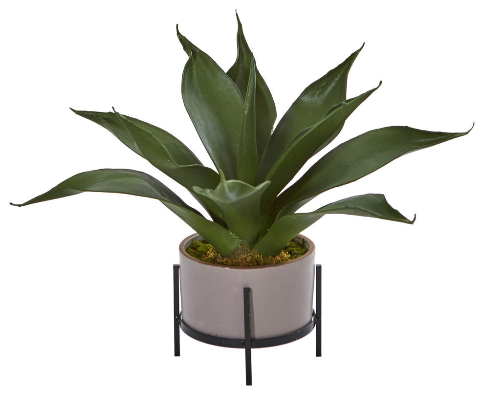 14" Agave Succulent, Decorative Planter
