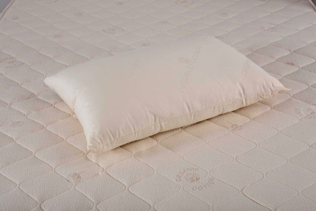Organic Wool Pillow