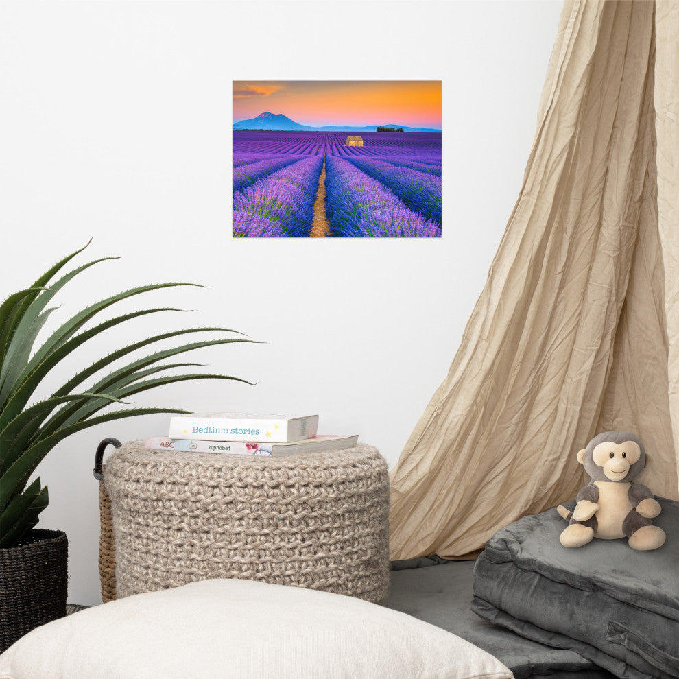 Blooming Lavender Field and Sunset Landscape Photo Unframed Wall Art Prints, 12" X 16"