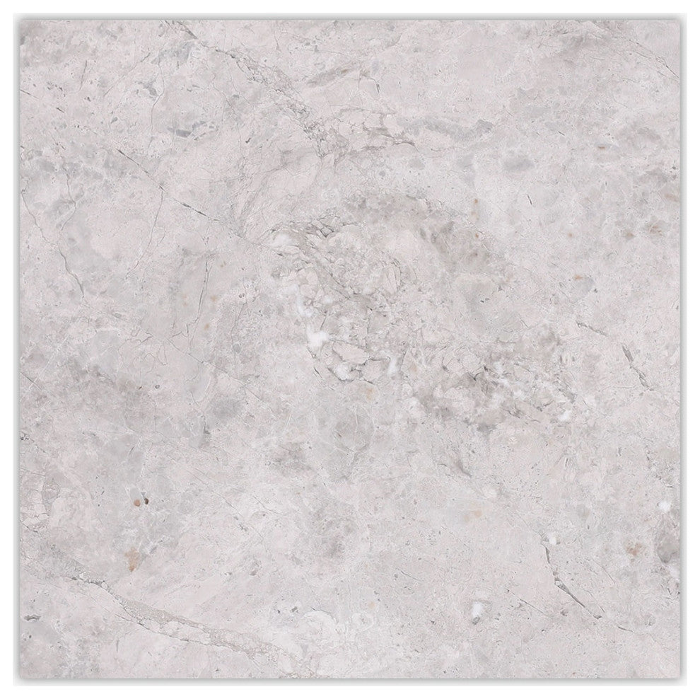 Silver Gray Dark Honed 12x12 Marble Tile