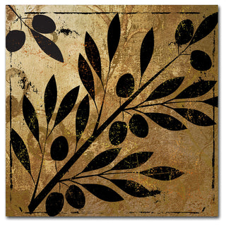 Color Bakery 'Bellissima II' Canvas Art, 35"x35"