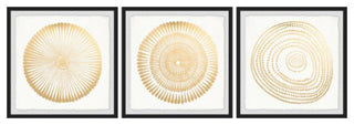 3-Piece "Golden Floral Bloom" Triptych Set, 54"x18"
