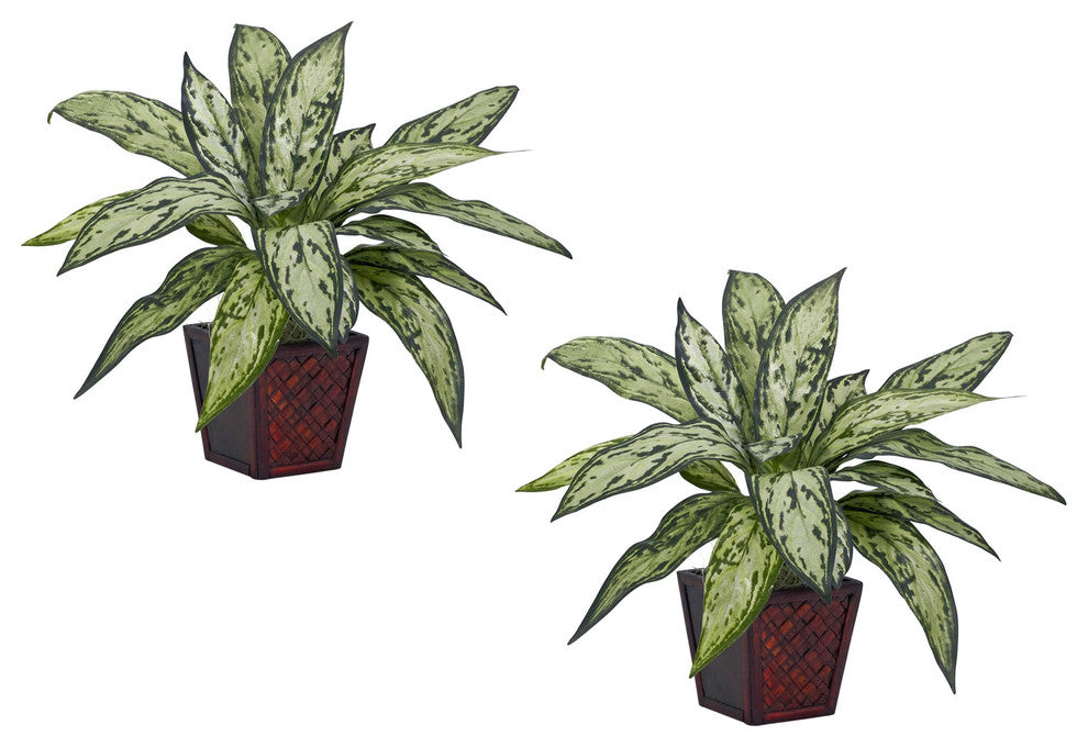 Silver Queen Silk Plant, Set of 2