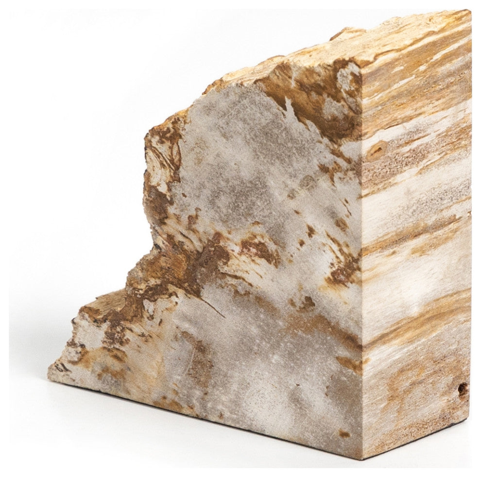 Petrified Wood Book Ends-Light