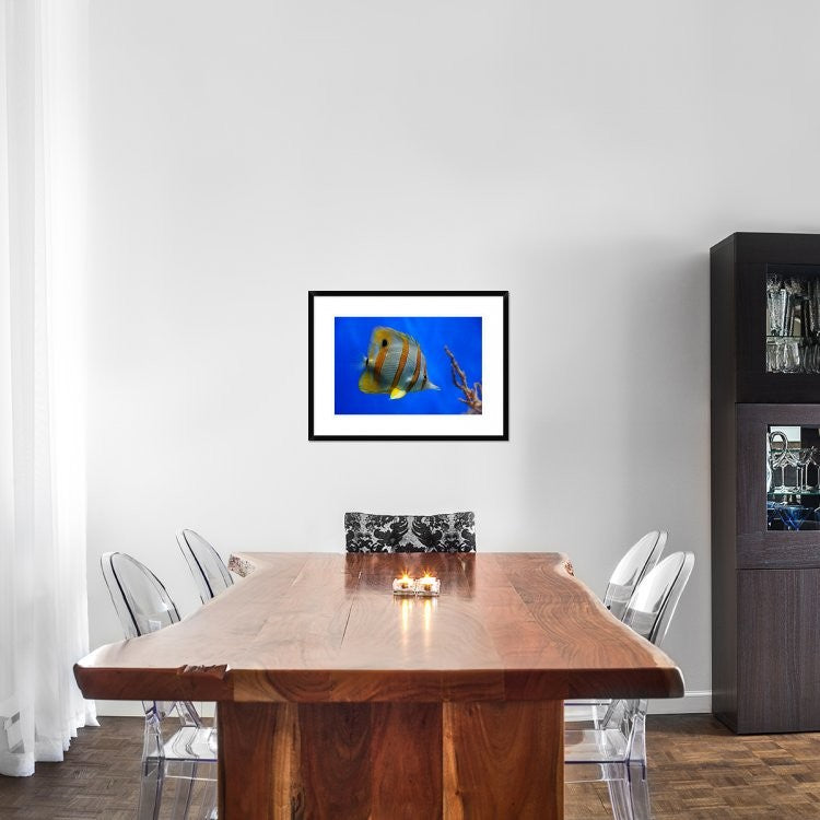 "Tropical Beauty" Framed Digital Print by Jan Lykke, 30x22"