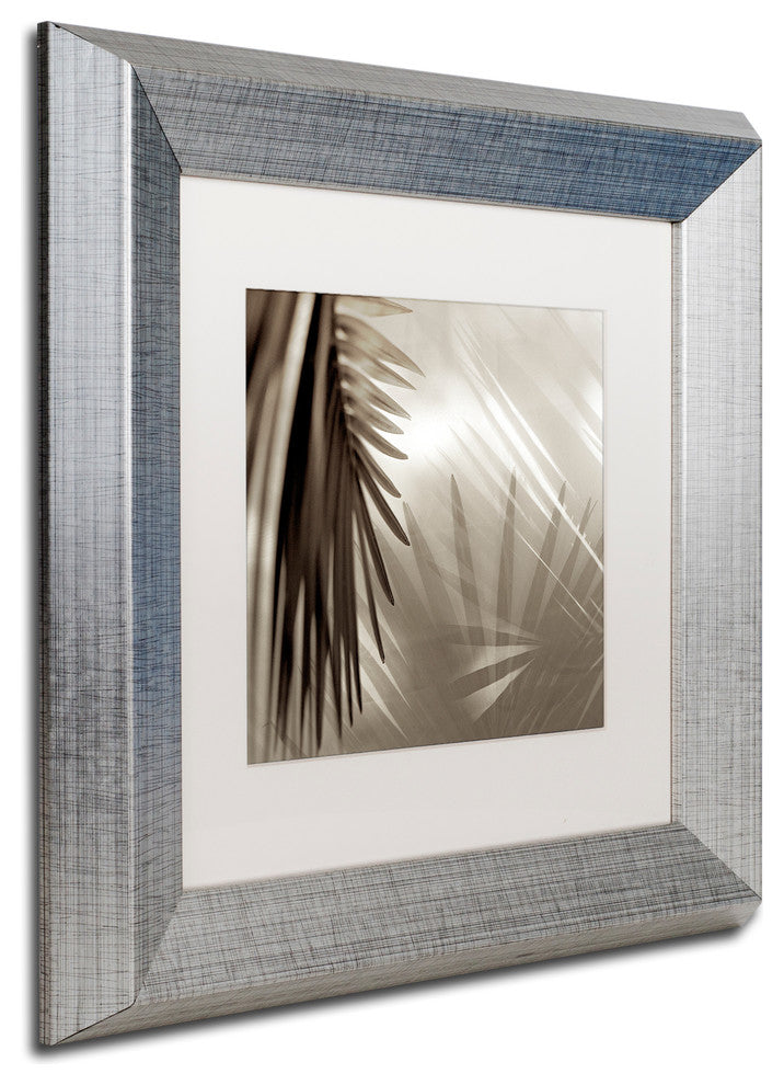 Alan Blaustein 'Florison 55' Art, Silver Frame, White Mat, 11x11