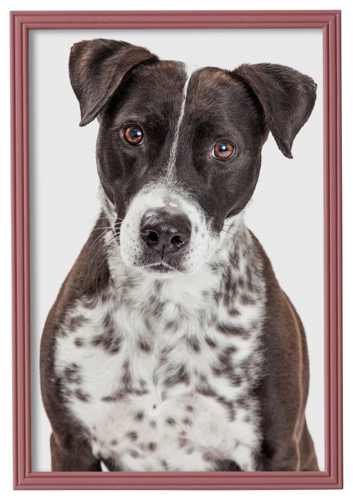 Sweet Simplicity Rustic Frame, Rose