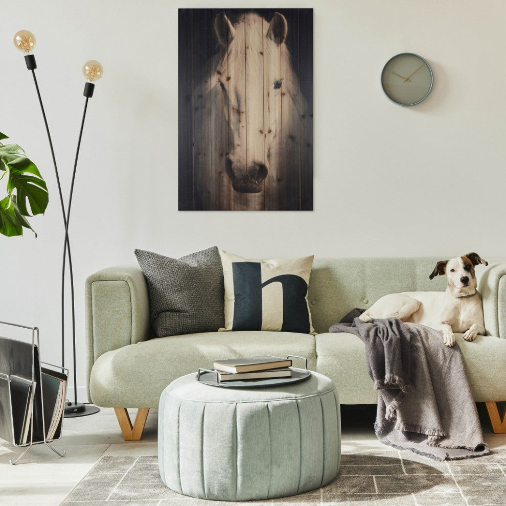 White Horse With Black Background Wood Plank Wall Art