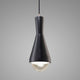 Erlen Pendant, Carbon Matte Black, Brushed Nickel, Black Cord, Incandescent