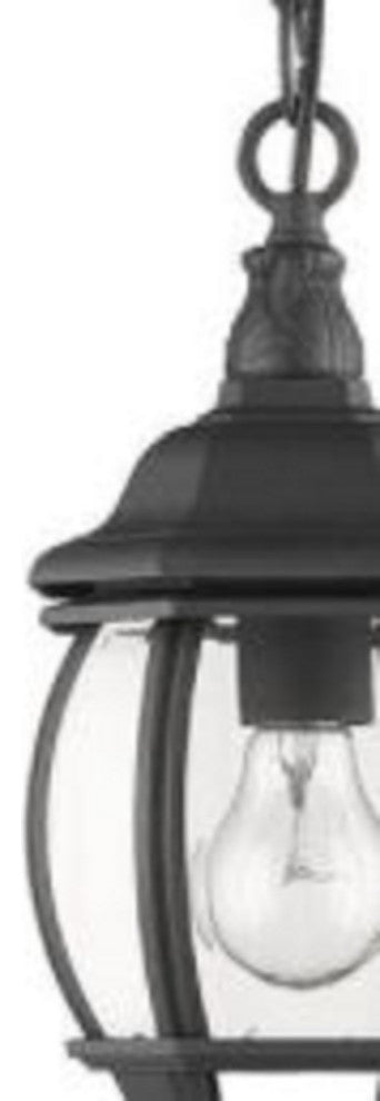1 Light Traditional Outdoor Aluminum Hanging Pendant, Black
