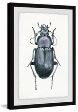"Armored Bug" Framed Painting Print, 24"x36"