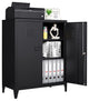Metal Storage Cabinet, 2 Doors & 2 Shelves, 35.5", Black, With Legs
