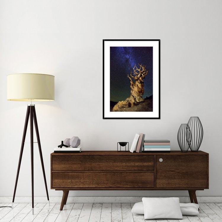 "Bristlecone Pine" Framed Digital Print by Tanja Ghirardini, 32x44"