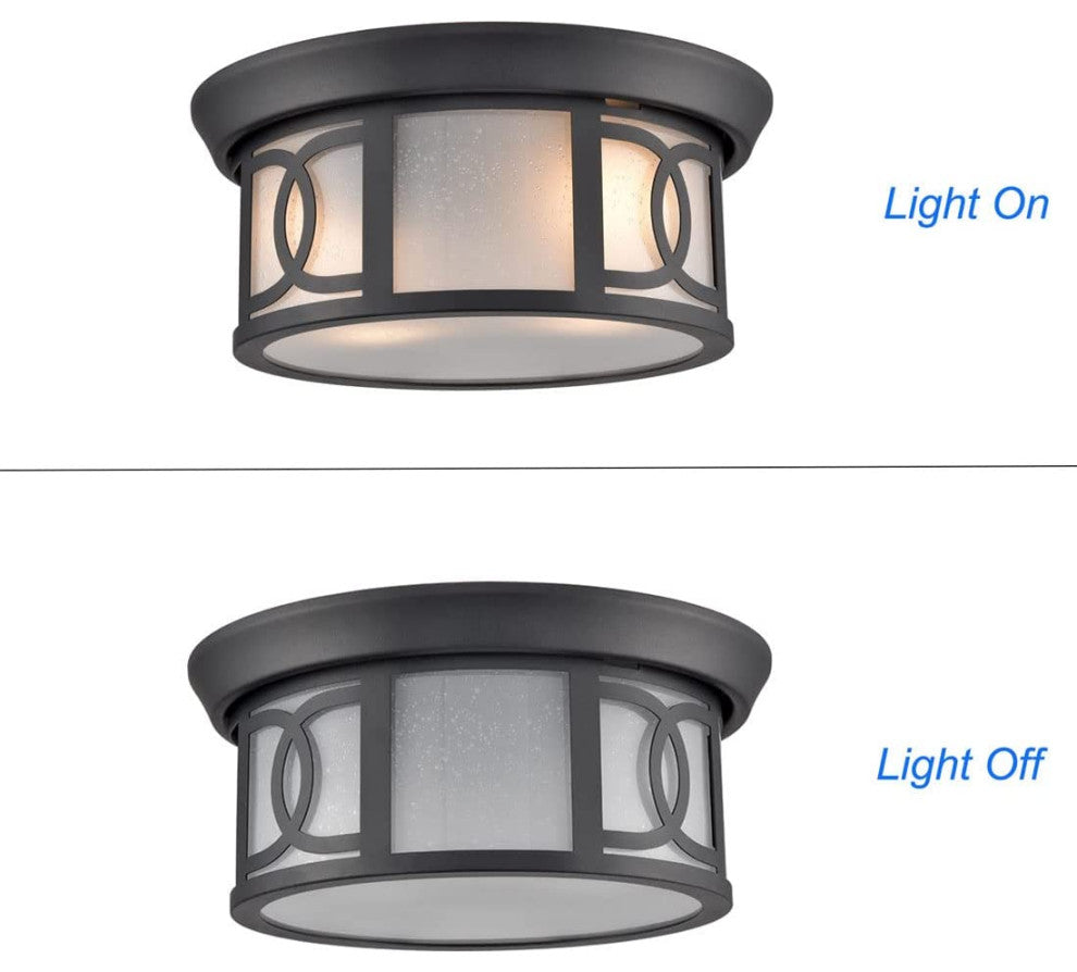 2 Light Ceiling Light Fixture, Industrial, Matte Black Flush Mount
