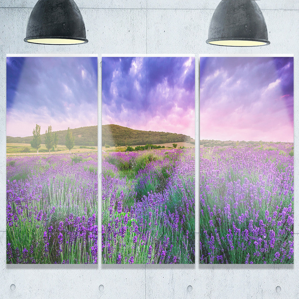 "Summer Lavender Field in Tihany" Metal Wall Art, 3 Panels, 36"x28"