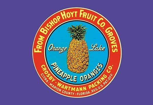 Orange Lake Brand Pineapples- Framed Paper Poster 20" x 30"