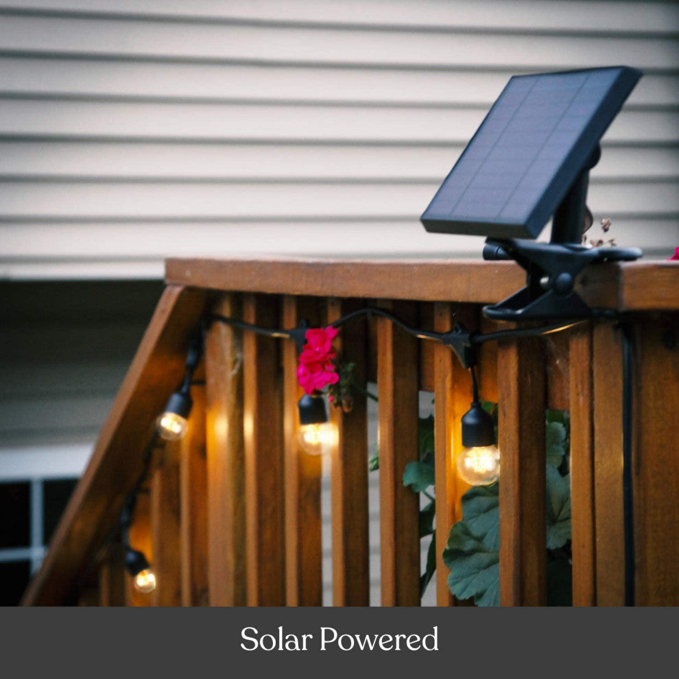 Brightech Ambience Pro Solar 1W Globe Waterproof LED Outdoor String Lights, Warm