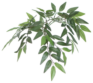 Cropped/close-up view of the leaves on a white background; focuses on a component/feature.