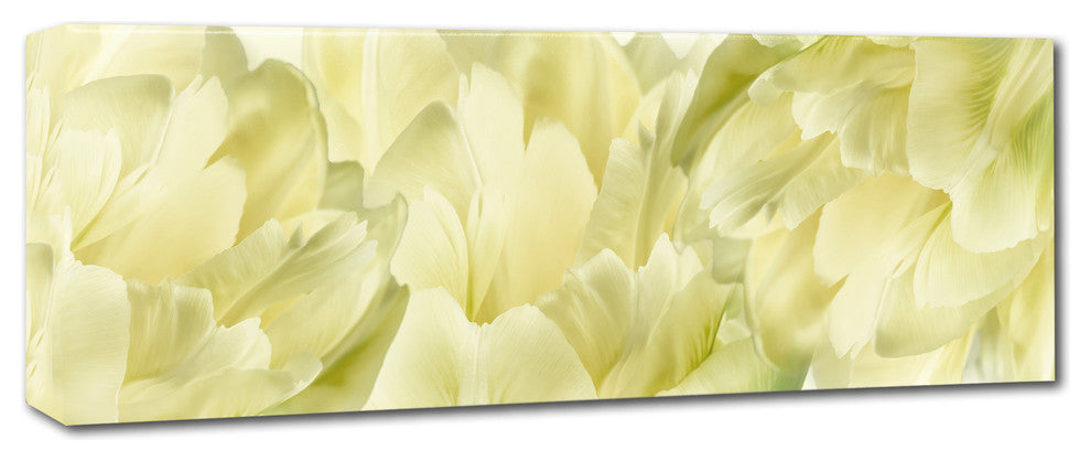 Cora Niele ''Yellow Tulip Scape'' Canvas Art
