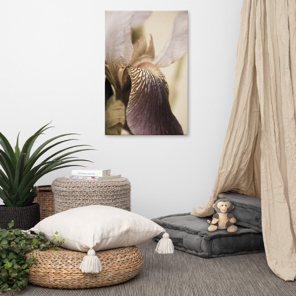 Japanese Iris Delight Aged Floral / Botanical Canvas Wall Art Print, 24" X 36"