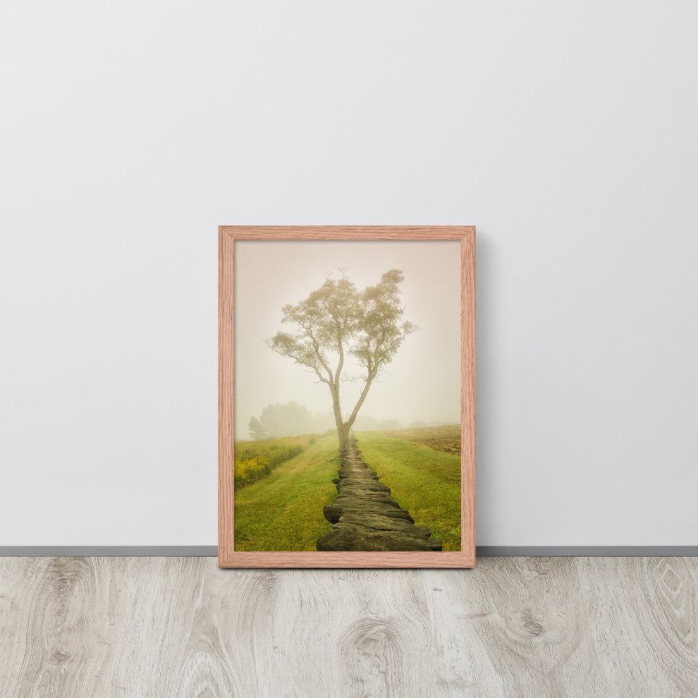 Calming Morning Rural Landscape Framed Photo Paper Wall Art Prints, Red Oak, 12" X 16"