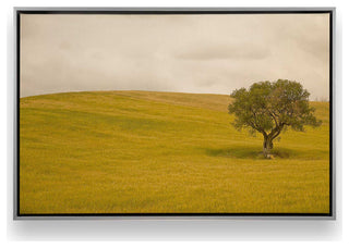 "Tuscan Fields' Charm" - A Touch of Italian Rusticity for Elegant Interiors
