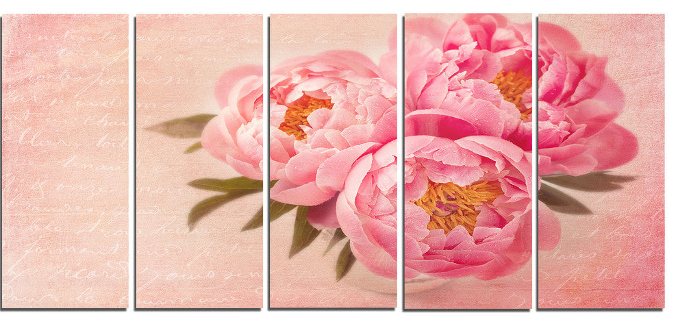 Peony Flowers against Scribbled Back, Floral Canvas Print, 60"x28", 5 Panels