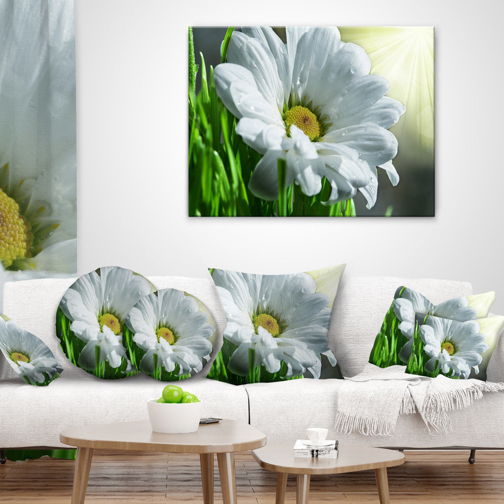 Single Beautiful Daisy Flower Flower Throw Pillow, 16"x16"