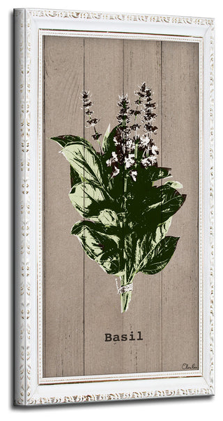 Basil Wrapped Canvas Botanical Kitchen Wall Art