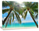 Palm Hanging over Sandy White Beach, Seashore Photo Canvas Art Print, 60"x28"