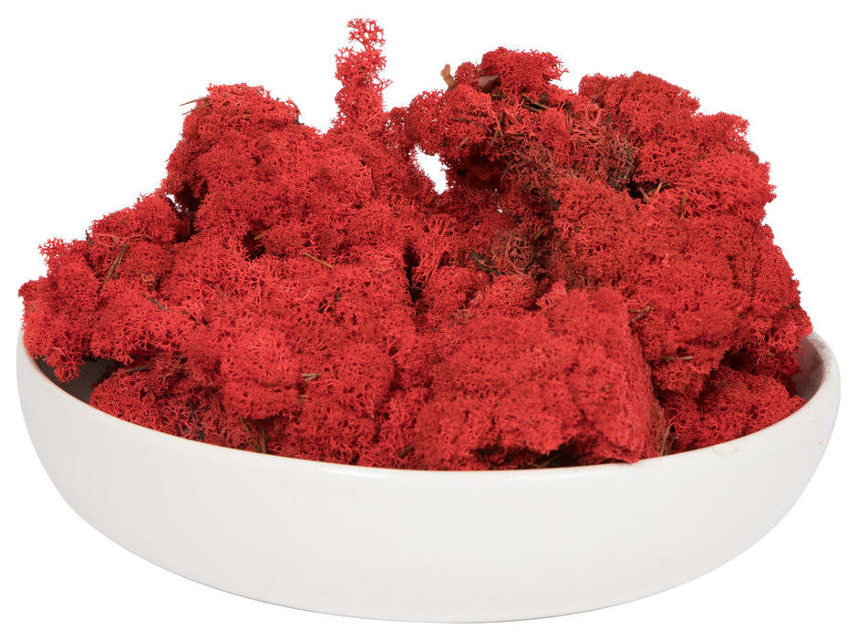 Vickerman Natural Botanicals Reindeer Moss, Red, 9 Lb.