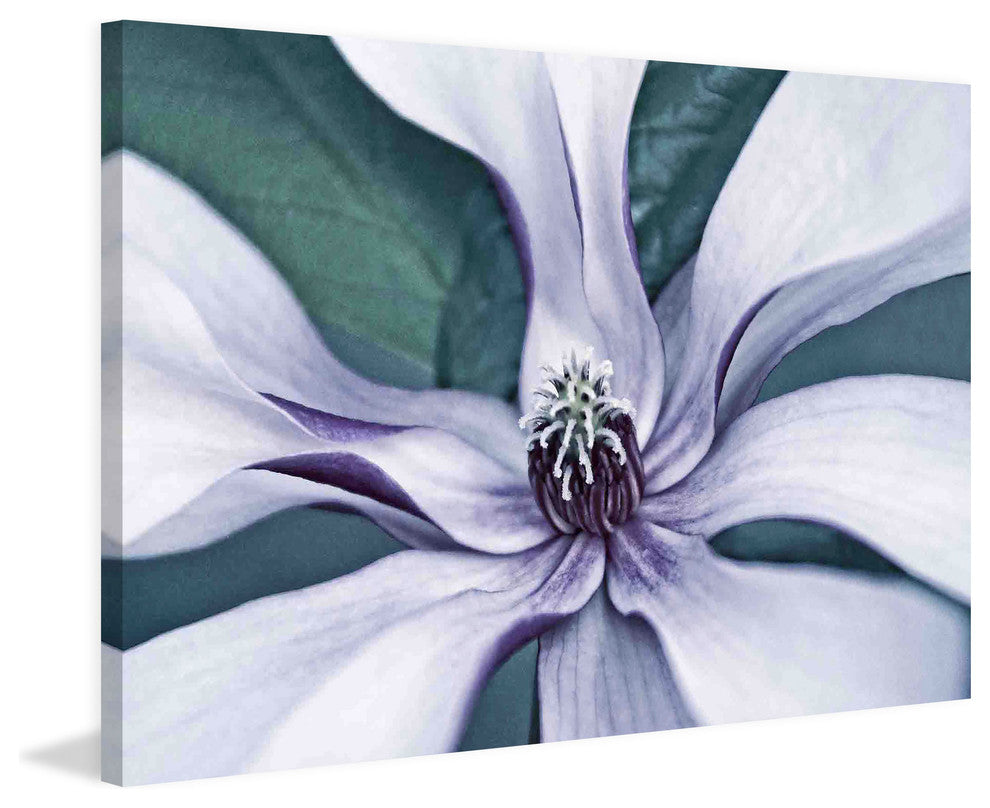 "Intimate Bloom 2" Painting Print on Canvas by Robertson