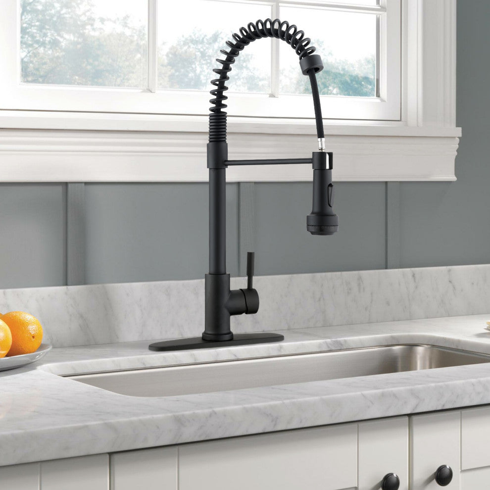 Givingtree Pull Down Sprayer Spring Kitchen Sink Faucet Matte Black