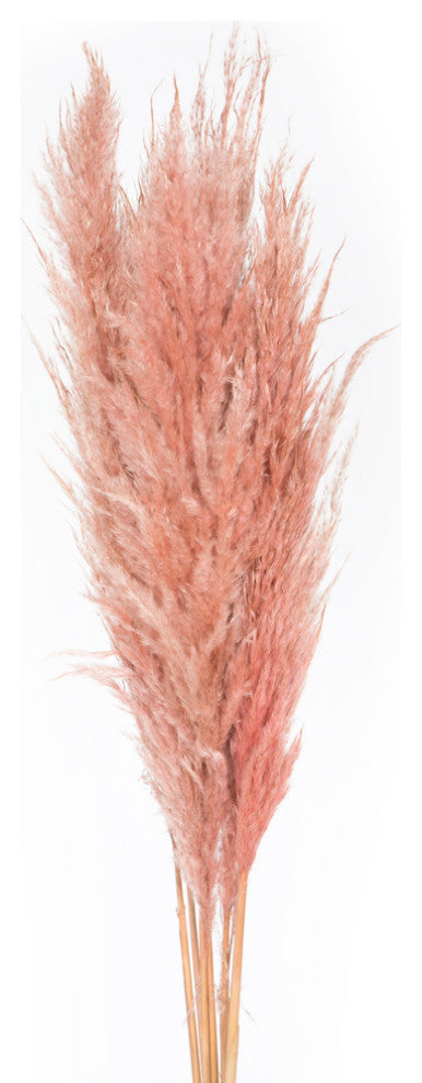 Vickerman 46" Dried Pampas Grass, Dusty Rose