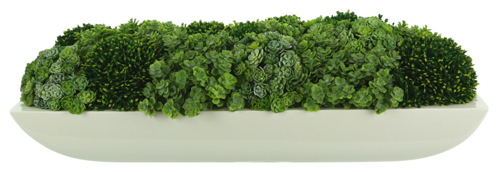 Chick Succulent and Sedum Arrangement in Pot