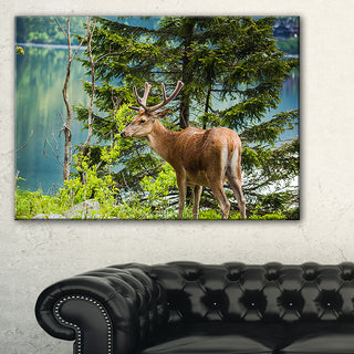 "Deer Stag Near the Lake" Canvas Print, 1 Panel