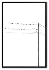 Satin Black 12" x 16" Melodic Convergence Framed Print