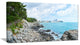 "Pathway Along The Coast of Dogbane" Landscape Wall Art, 1 Panel, 60"x28"