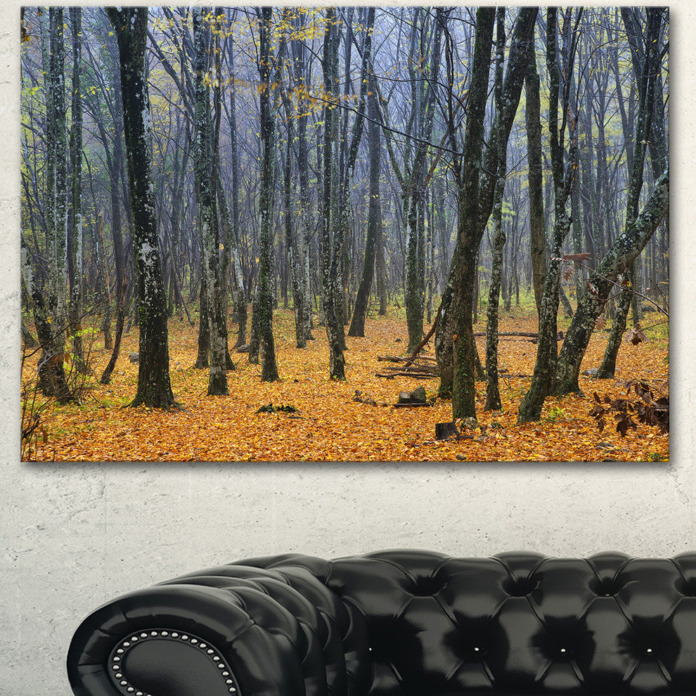 Dark Woods in Autumn Forest, Modern Forest Canvas Art, 40"x30"
