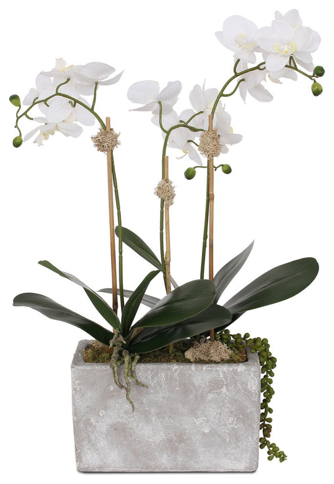Real Touch Phalaenopsis Orchid, Leaves with String of Pearls in Wash Stone Pot