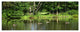Bushes and Trees in River Bank, Landscape Canvas Art Print, 70"x28", 6 Panels