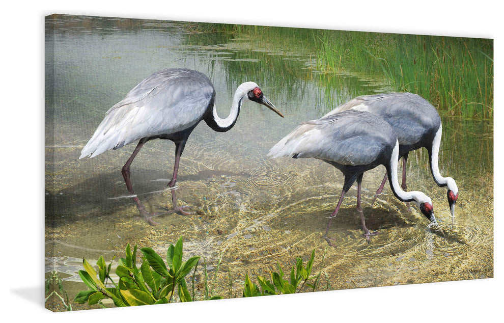 "White Naped Cranes" Painting Print on Canvas by Chris Vest