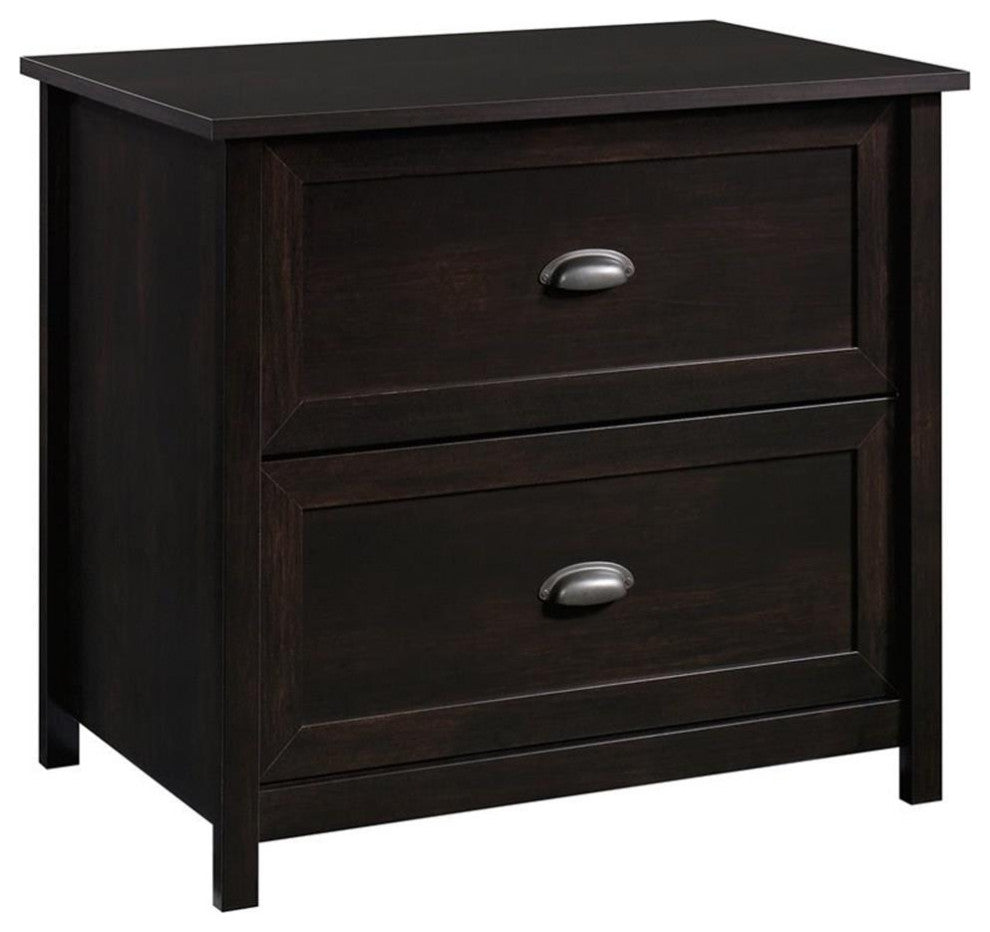 Sauder County Line Engineered Wood 2-Drawer Lateral File Cabinet in Estate Black