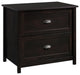 Sauder County Line Engineered Wood 2-Drawer Lateral File Cabinet in Estate Black