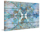 "Succulent Pattern" Painting Print on Canvas by Irena Orlov