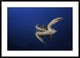 "Green Turtle" Framed Digital Print by Barathieu Gabriel, 44x32"