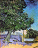 Vincent Van Gogh Chestnut Trees in Bloom, 20"x25" Wall Decal