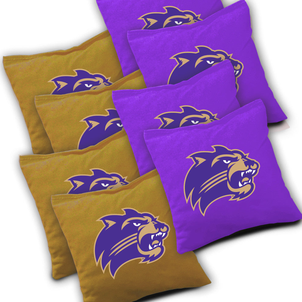 Western Carolina Distressed Cornhole Set