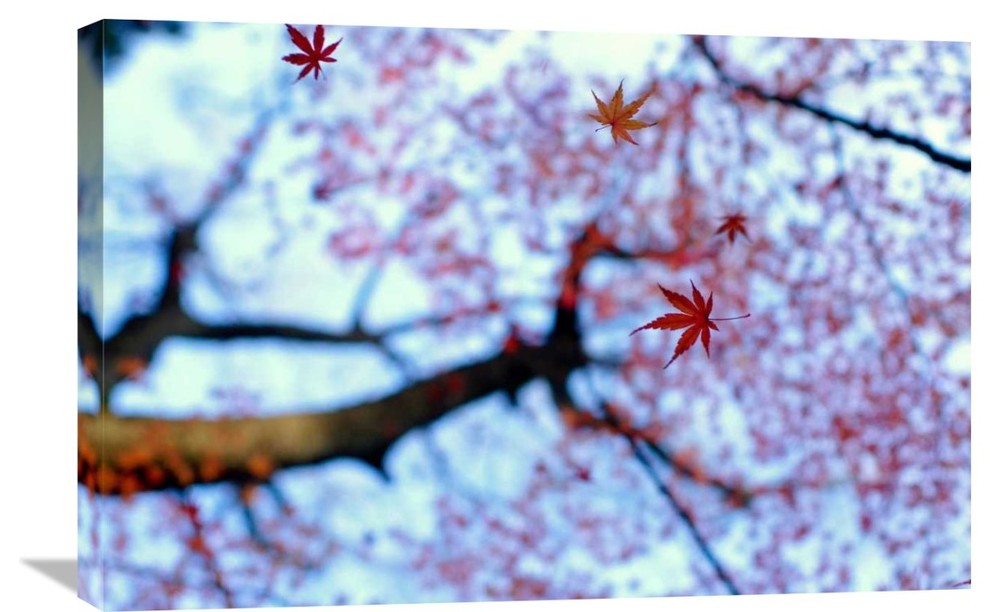 "Heirinji" Stretched Canvas Giclee by Kouji Tomihisa, 30"x20"